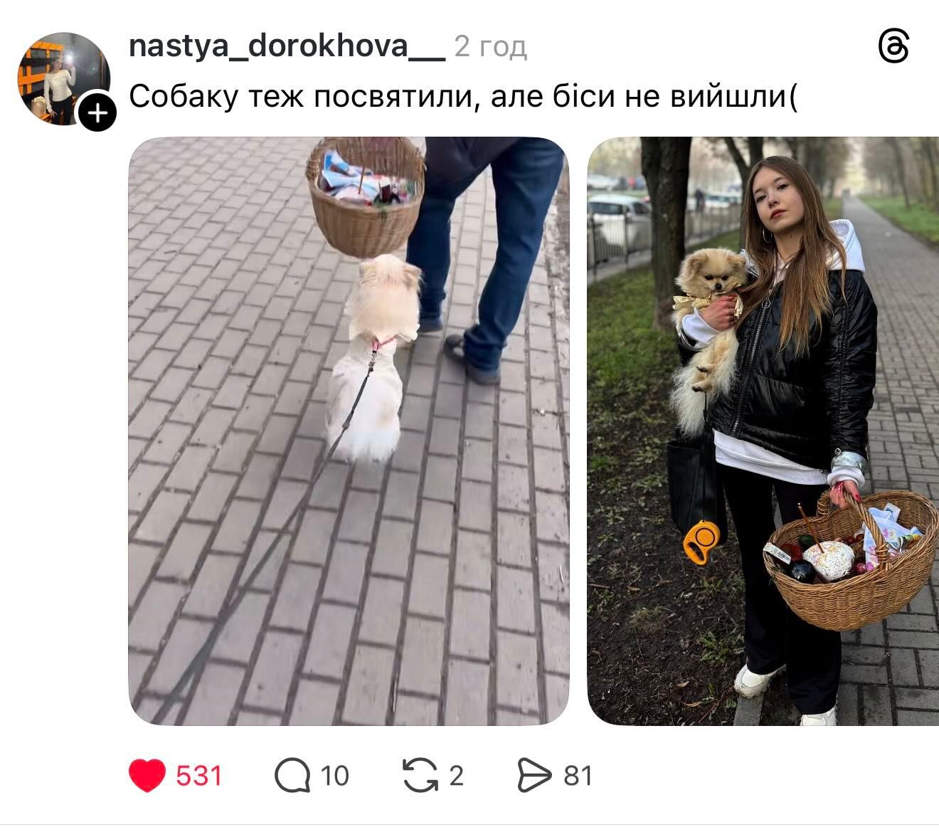 Великдень разом: українці показують святкові фото песиків - 852997 Великдень разом: українці показують святкові фото песиків - фото 852997