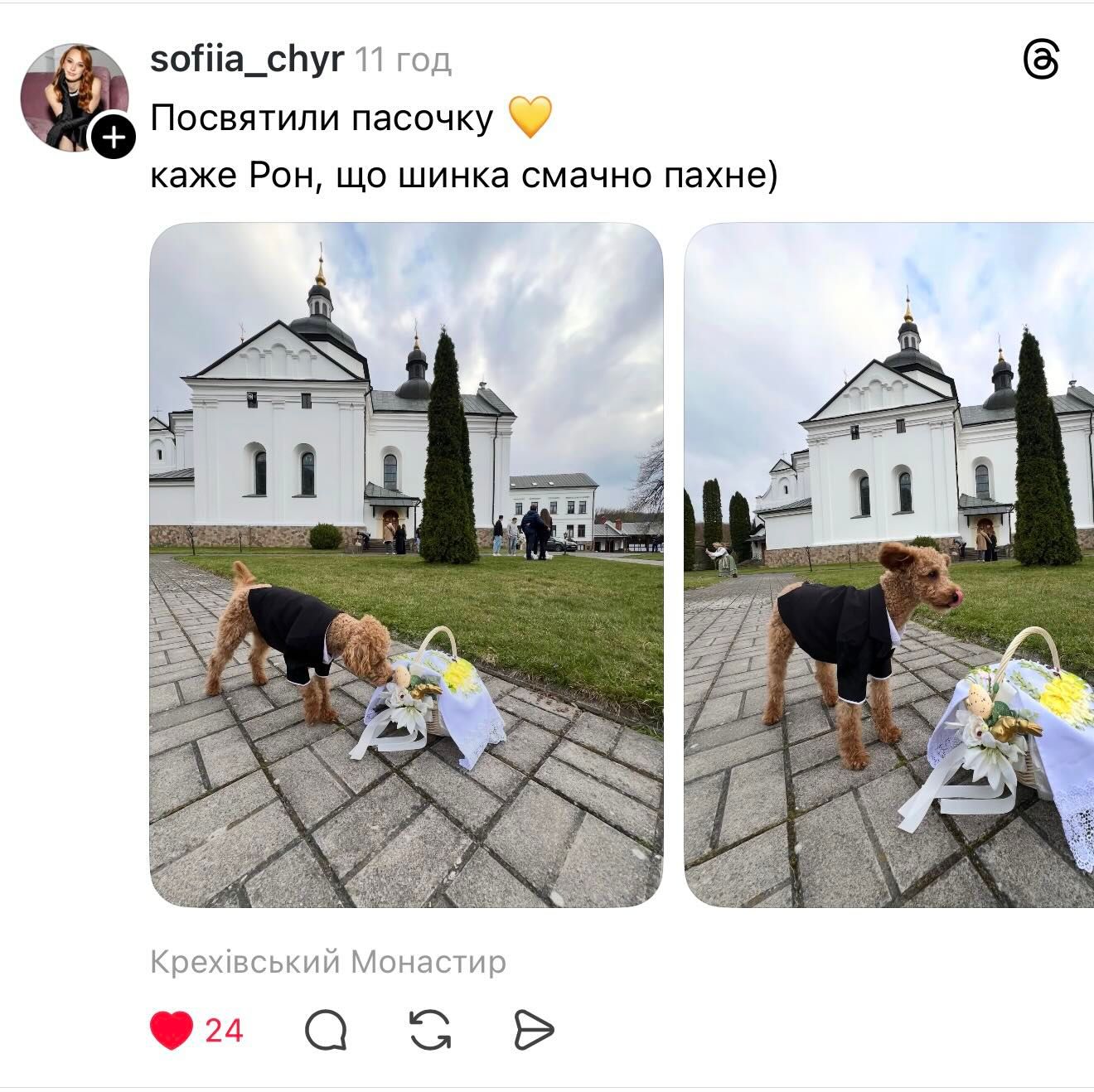 Великдень разом: українці показують святкові фото песиків - 853000 Великдень разом: українці показують святкові фото песиків - фото 853000