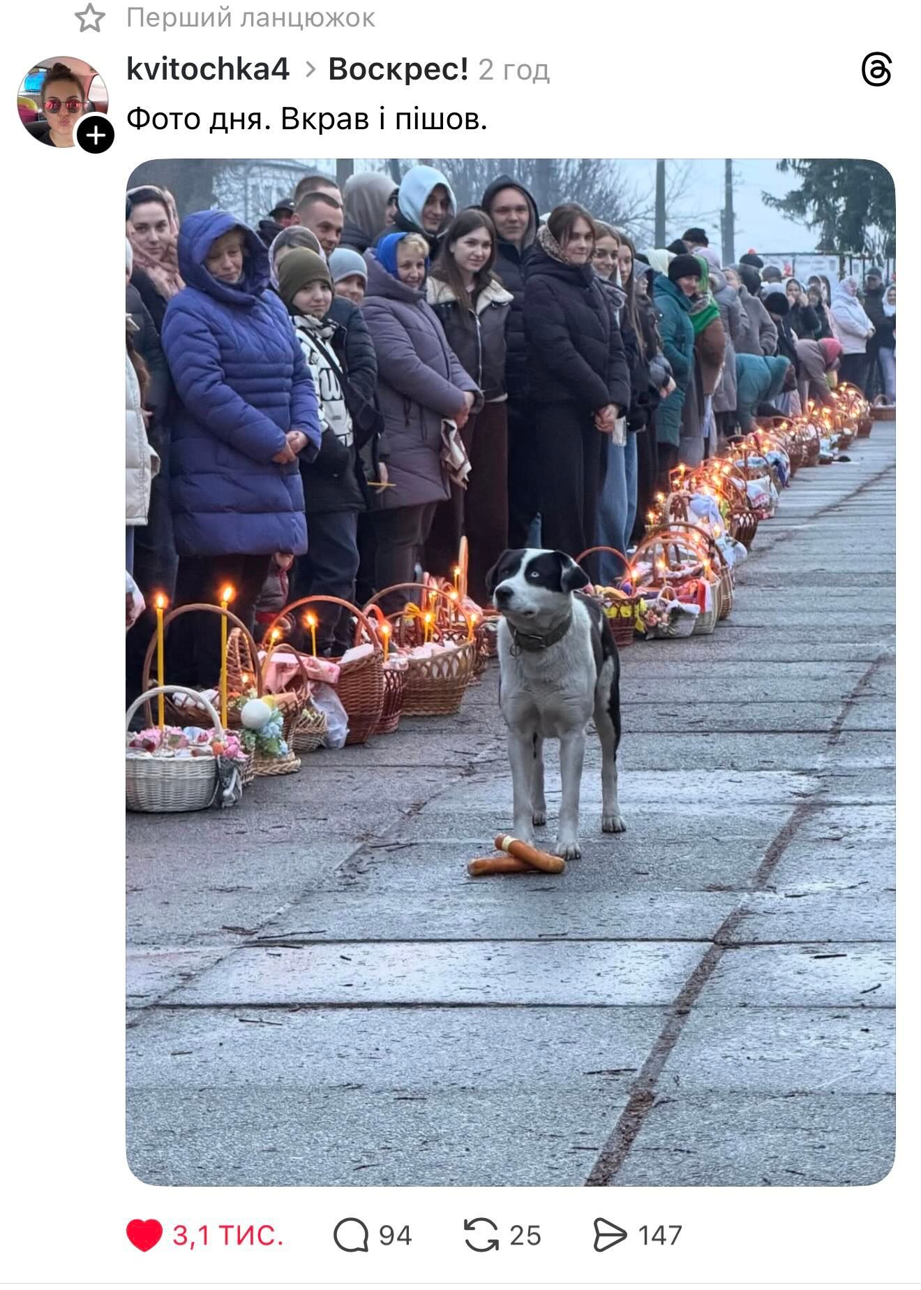 Великдень разом: українці показують святкові фото песиків - 853007 Великдень разом: українці показують святкові фото песиків - фото 853007