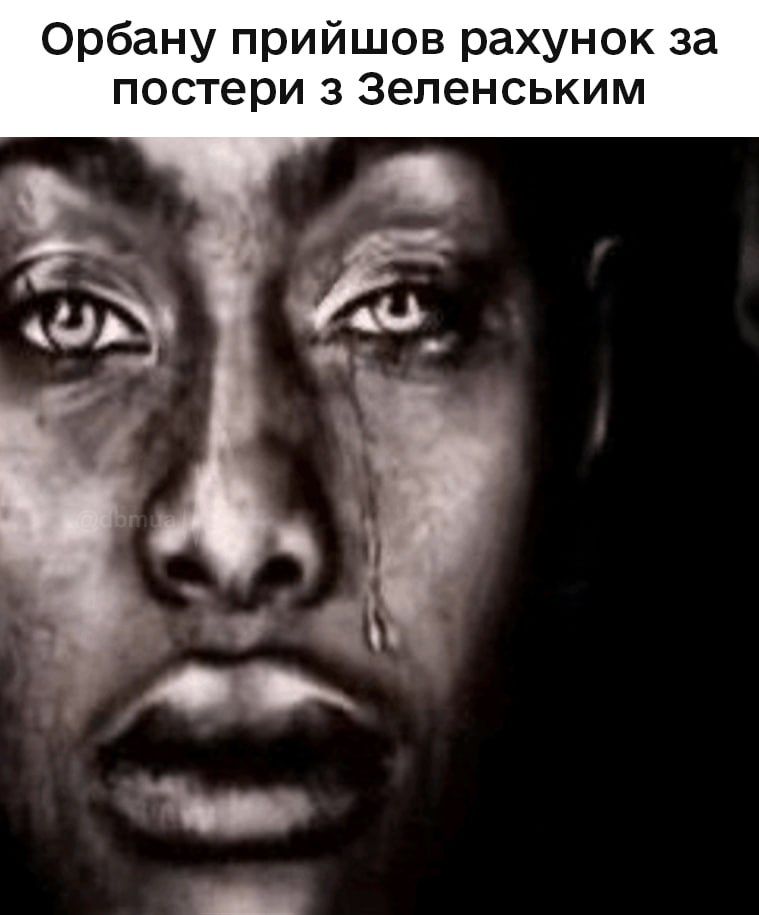 Українці висміюють в мемах Віктора Орбана, який програв на виборах в Угорщині - фото 853046