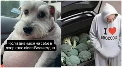 Я после паски: лучшие мемы о том, как каждый "последний кусочек" был не последний