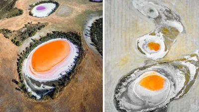 Ілюзія обману: ці речі виглядають як їжа, але їх точно краще не їсти