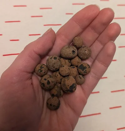 Ілюзія обману: ці речі виглядають як їжа, але їх точно краще не їсти - фото 853738