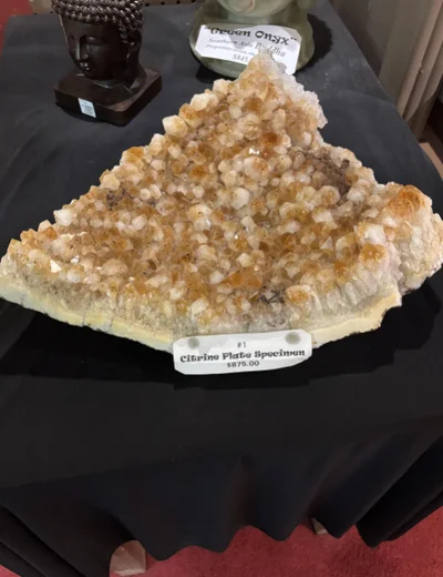 Ілюзія обману: ці речі виглядають як їжа, але їх точно краще не їсти - фото 853739