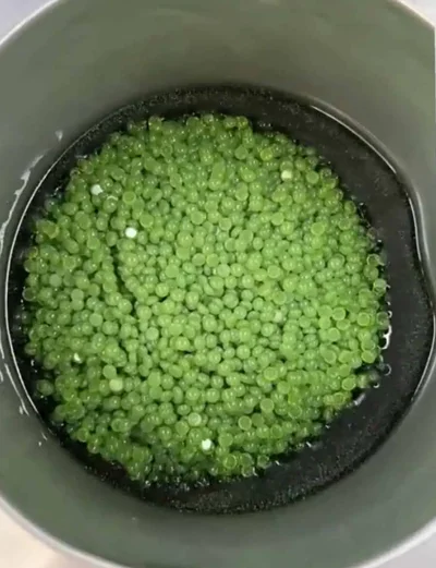 Ілюзія обману: ці речі виглядають як їжа, але їх точно краще не їсти - фото 853740