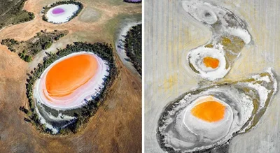 Ілюзія обману: ці речі виглядають як їжа, але їх точно краще не їсти - фото 853741