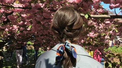 Гороскоп на 17 квітня: день, сповнений оптимізму і бажання діяти