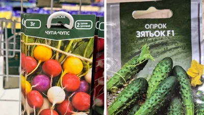 Огурец-зятенок и арбуз-продюсер: в Threads смеются над названиями украинских семян