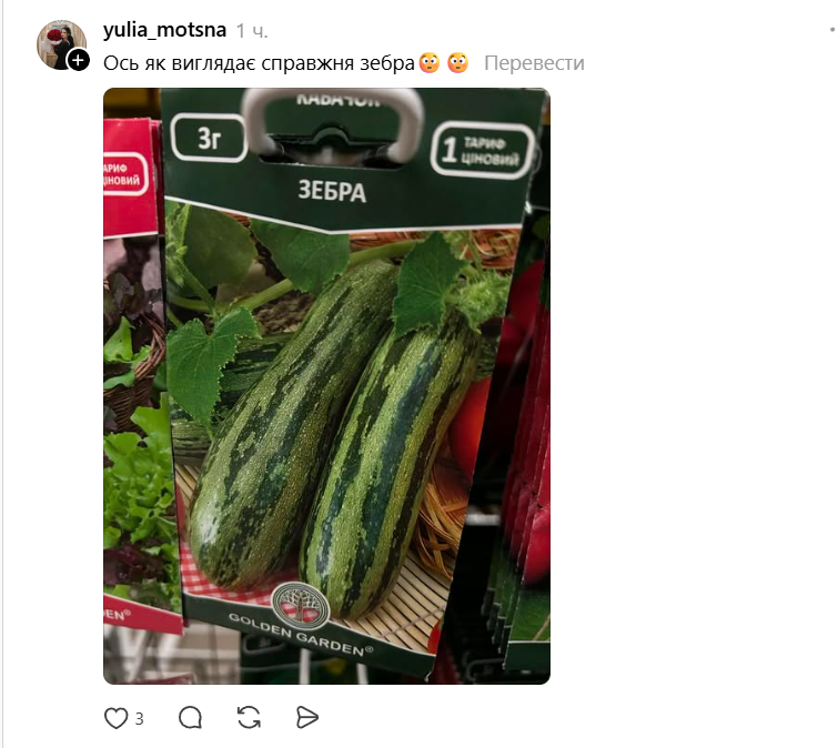 Огурец-зятенок и арбуз-продюсер: в Threads смеются над названиями украинских семян - фото 854523