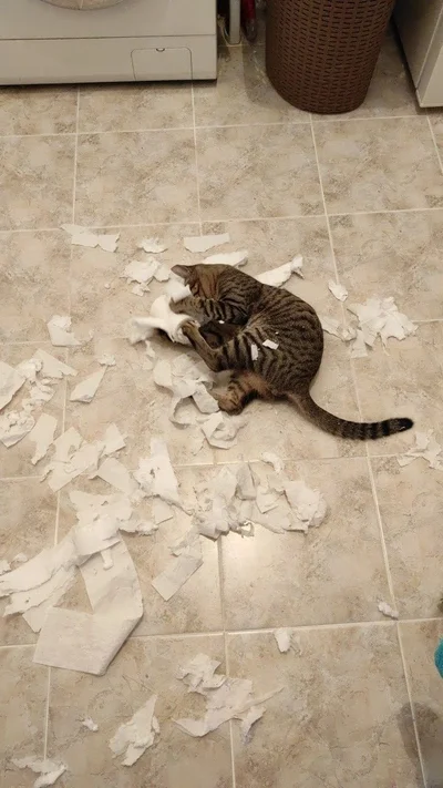 Коли все валиться з рук: кумедні фото людських невдач - фото 854591