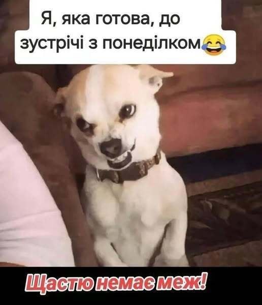 Работа не волк, а источник контента: большая подборка мемов ко Дню труда - 854734 Работа не волк, а источник контента: большая подборка мемов ко Дню труда - фото 854734