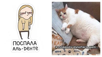 Мемы, которые идеально передают настроение перед понедельником