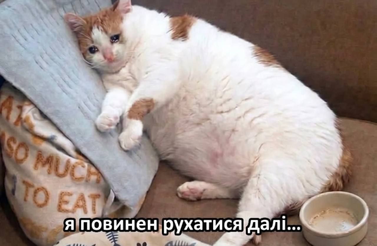 Мемы, которые идеально передают настроение перед понедельником - 855498 Мемы, которые идеально передают настроение перед понедельником - фото 855498