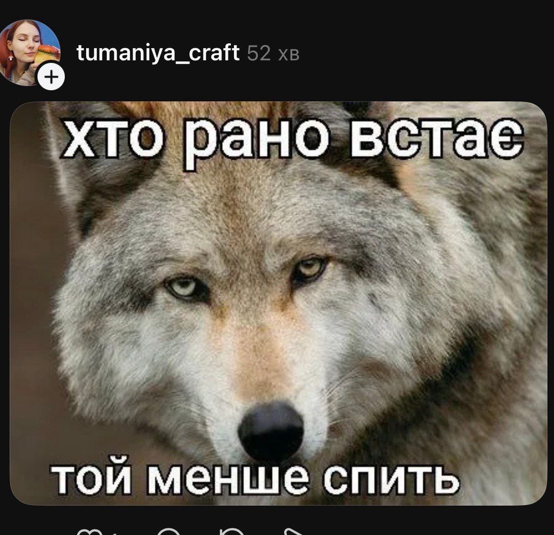 Мемы, которые идеально передают настроение перед понедельником - 855502 Мемы, которые идеально передают настроение перед понедельником - фото 855502