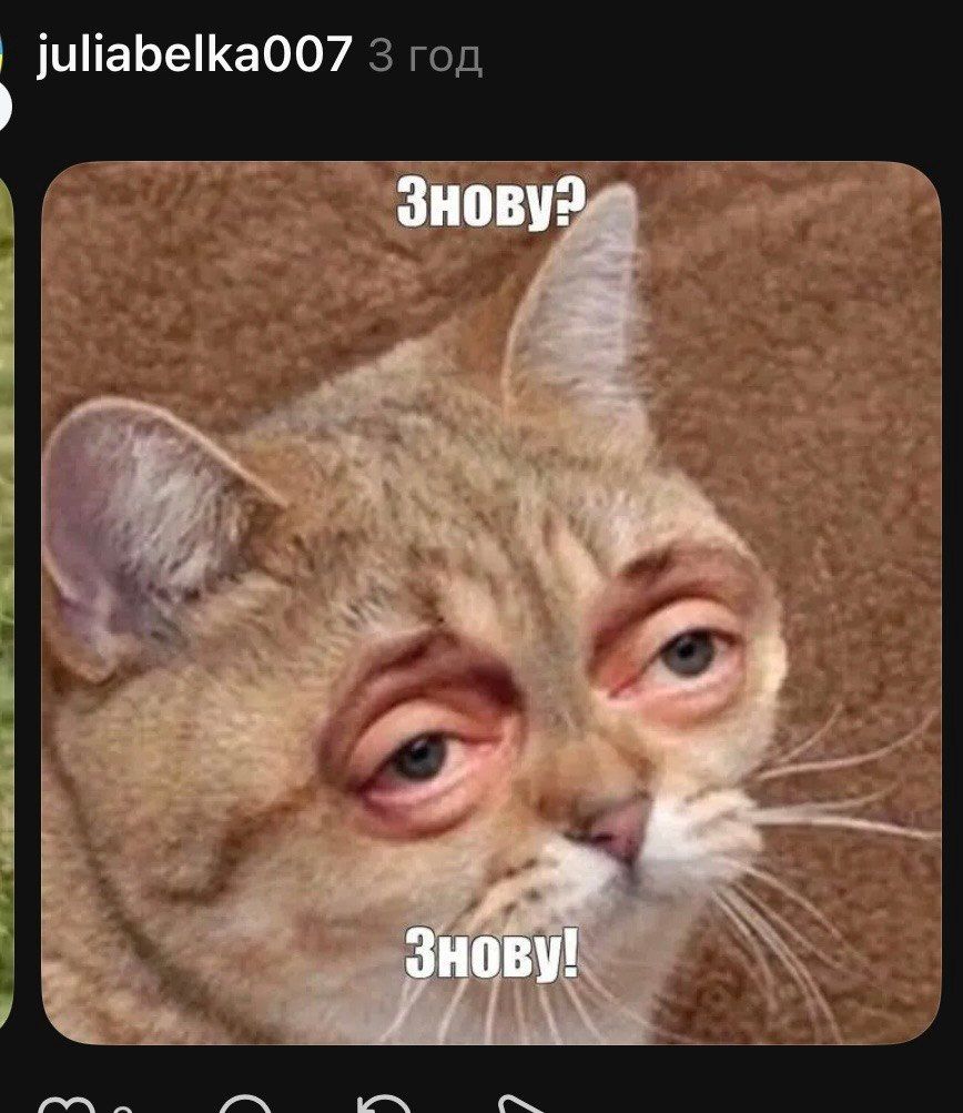 Мемы, которые идеально передают настроение перед понедельником - 855506 Мемы, которые идеально передают настроение перед понедельником - фото 855506