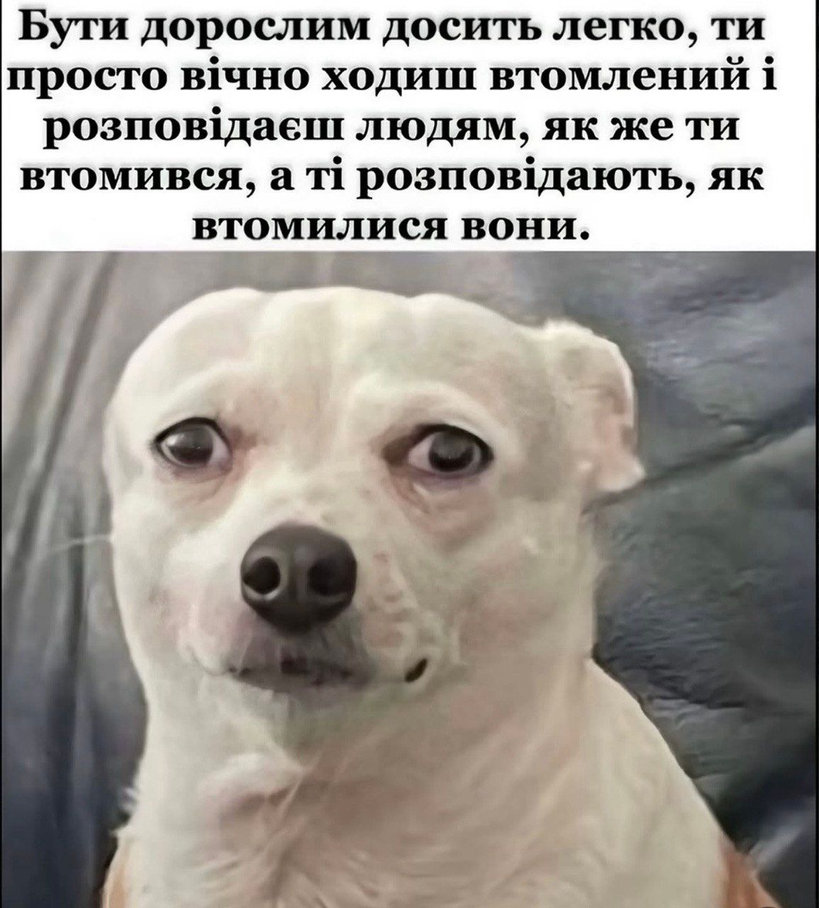 Мемы, которые идеально передают настроение перед понедельником - 855508 Мемы, которые идеально передают настроение перед понедельником - фото 855508