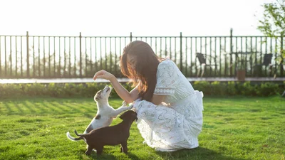 Вихід із мінуса: цим знакам зодіаку світить стабільний дохід у травні