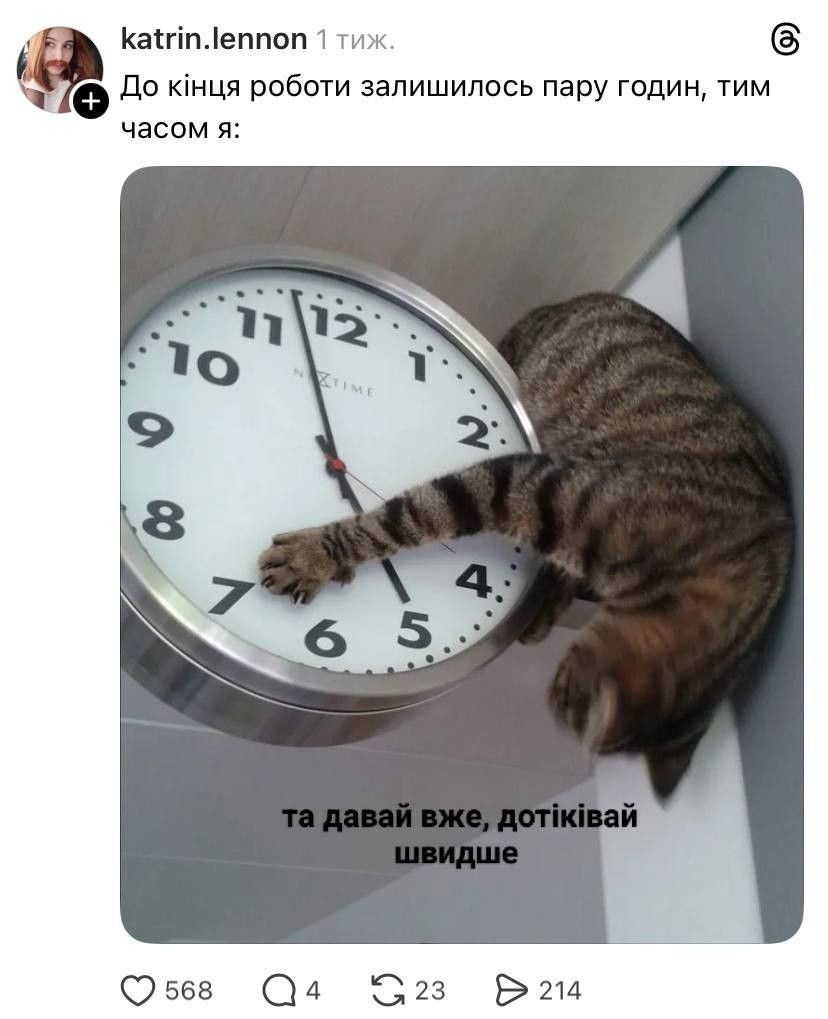 Жизненные мемы с котиками, в которых невозможно не узнать себя - 856442 Жизненные мемы с котиками, в которых невозможно не узнать себя - фото 856442