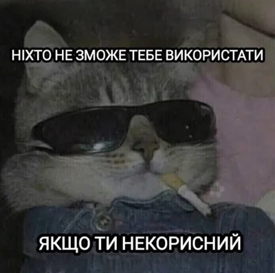 Меми з котами - фото 856445