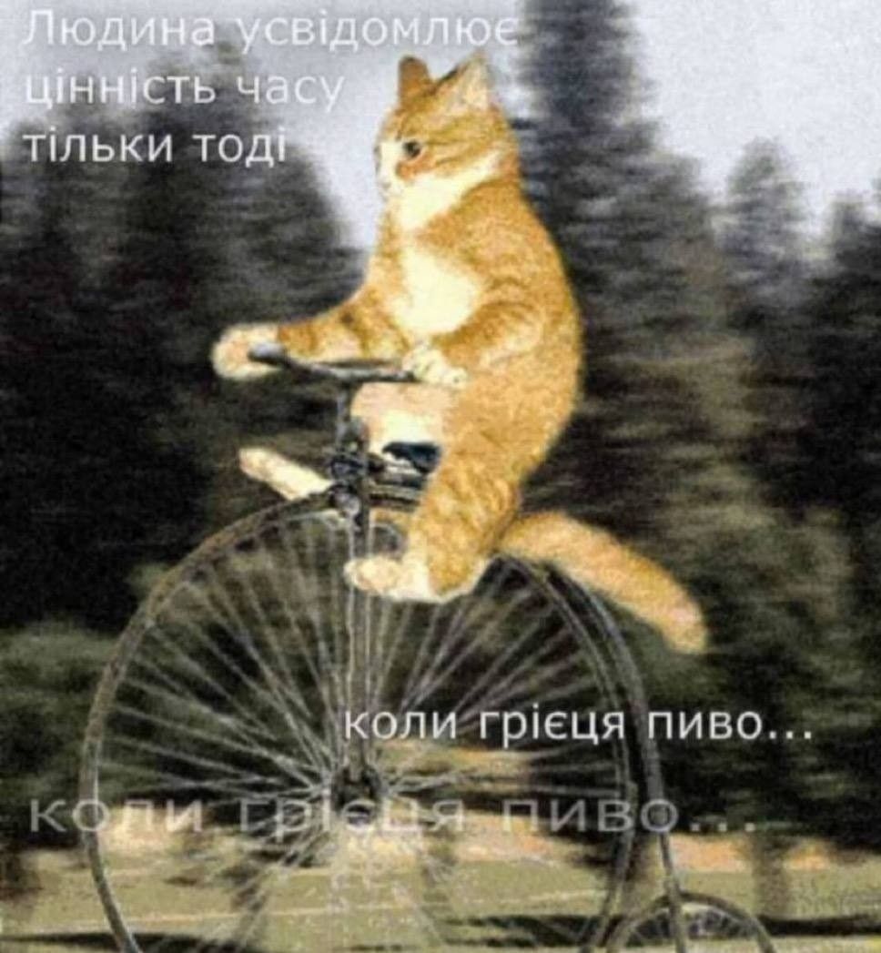 Жизненные мемы с котиками, в которых невозможно не узнать себя - 856450 Жизненные мемы с котиками, в которых невозможно не узнать себя - фото 856450