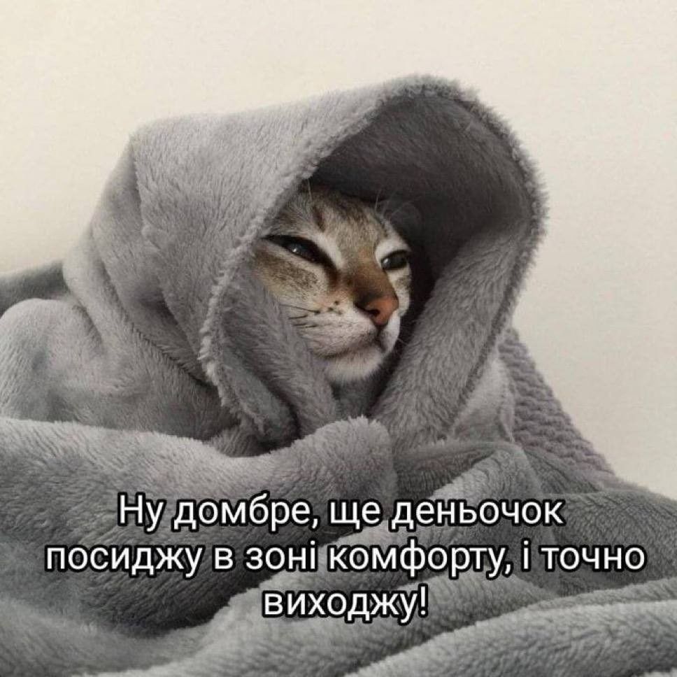 Жизненные мемы с котиками, в которых невозможно не узнать себя - 856451 Жизненные мемы с котиками, в которых невозможно не узнать себя - фото 856451