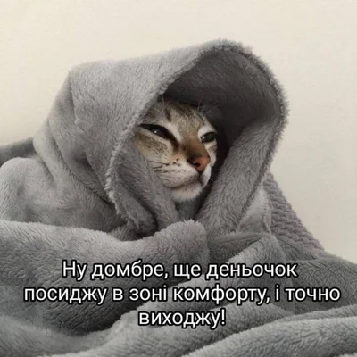 Меми з котами - фото 856451