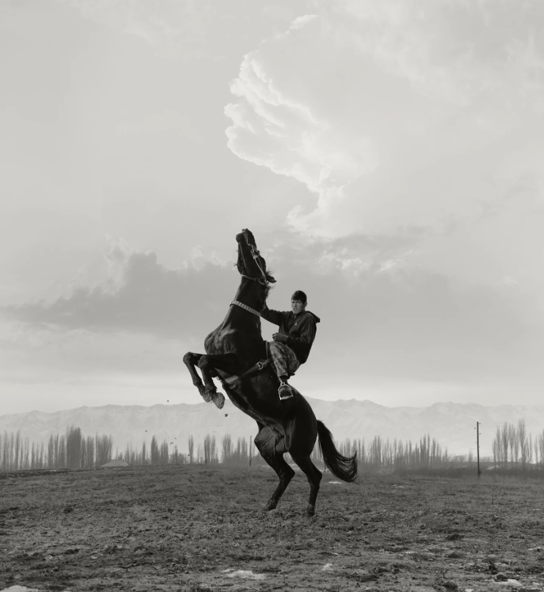 Впечатляют до муравьев: лучшие фото Sony World Photography Awards 2026: лучшие фото Sony World Photography Awards 2026 - фото 856490
