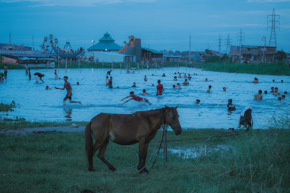 Впечатляют до муравьев: лучшие фото Sony World Photography Awards 2026: лучшие фото Sony World Photography Awards 2026 - фото 856500