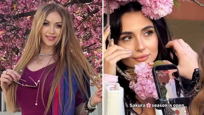 Квітучий дайджест: зіркові красуні заполонили мережу фото під сакурами