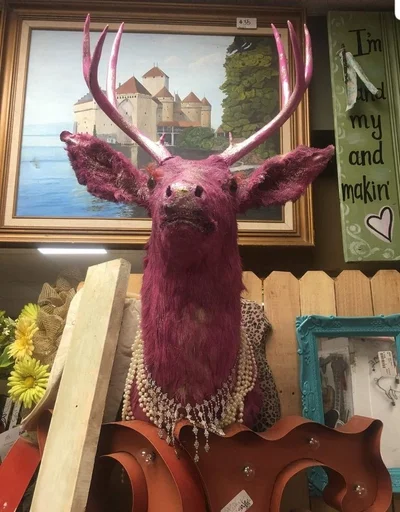 22 кумедні речі з секонд-хенду, які складно пояснити та неможливо забути - фото 856531