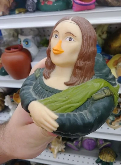 22 кумедні речі з секонд-хенду, які складно пояснити та неможливо забути - фото 856535