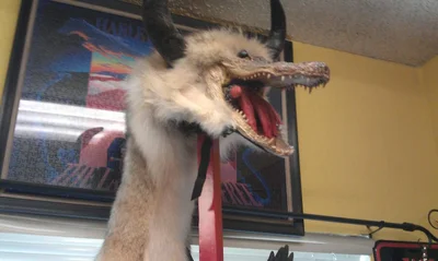 22 кумедні речі з секонд-хенду, які складно пояснити та неможливо забути - фото 856541