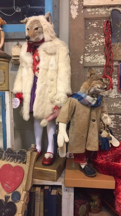 22 кумедні речі з секонд-хенду, які складно пояснити та неможливо забути - фото 856542