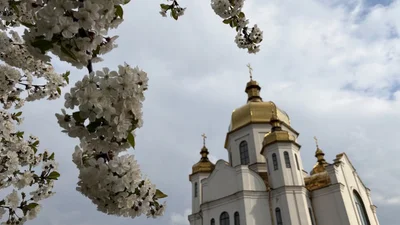 Світлі привітання з Днем Миколи Весняного 2026 та картинки