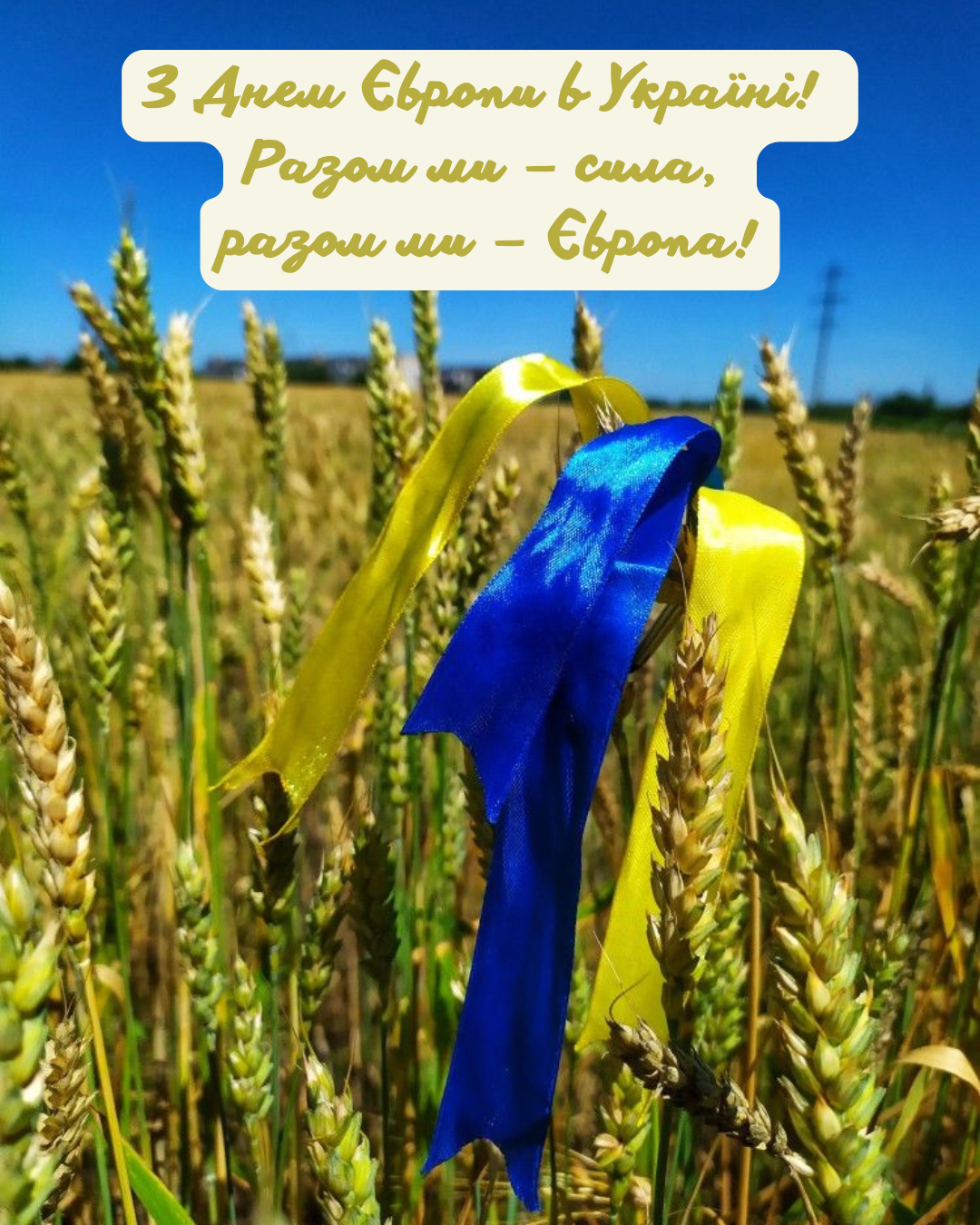 День Европы в Украине 2026: лучшие поздравления и яркие открытки, которые вдохновляют - 856733 День Европы в Украине 2026: лучшие поздравления и яркие открытки, которые вдохновляют - фото 856733