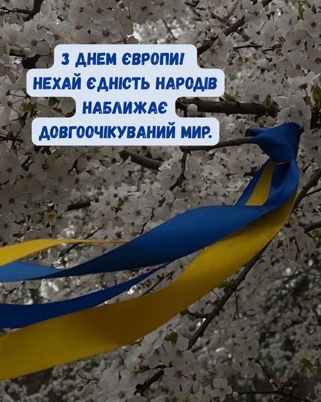День Европы в Украине 2026: лучшие поздравления и яркие открытки, которые вдохновляют - 856735 День Европы в Украине 2026: лучшие поздравления и яркие открытки, которые вдохновляют - фото 856735