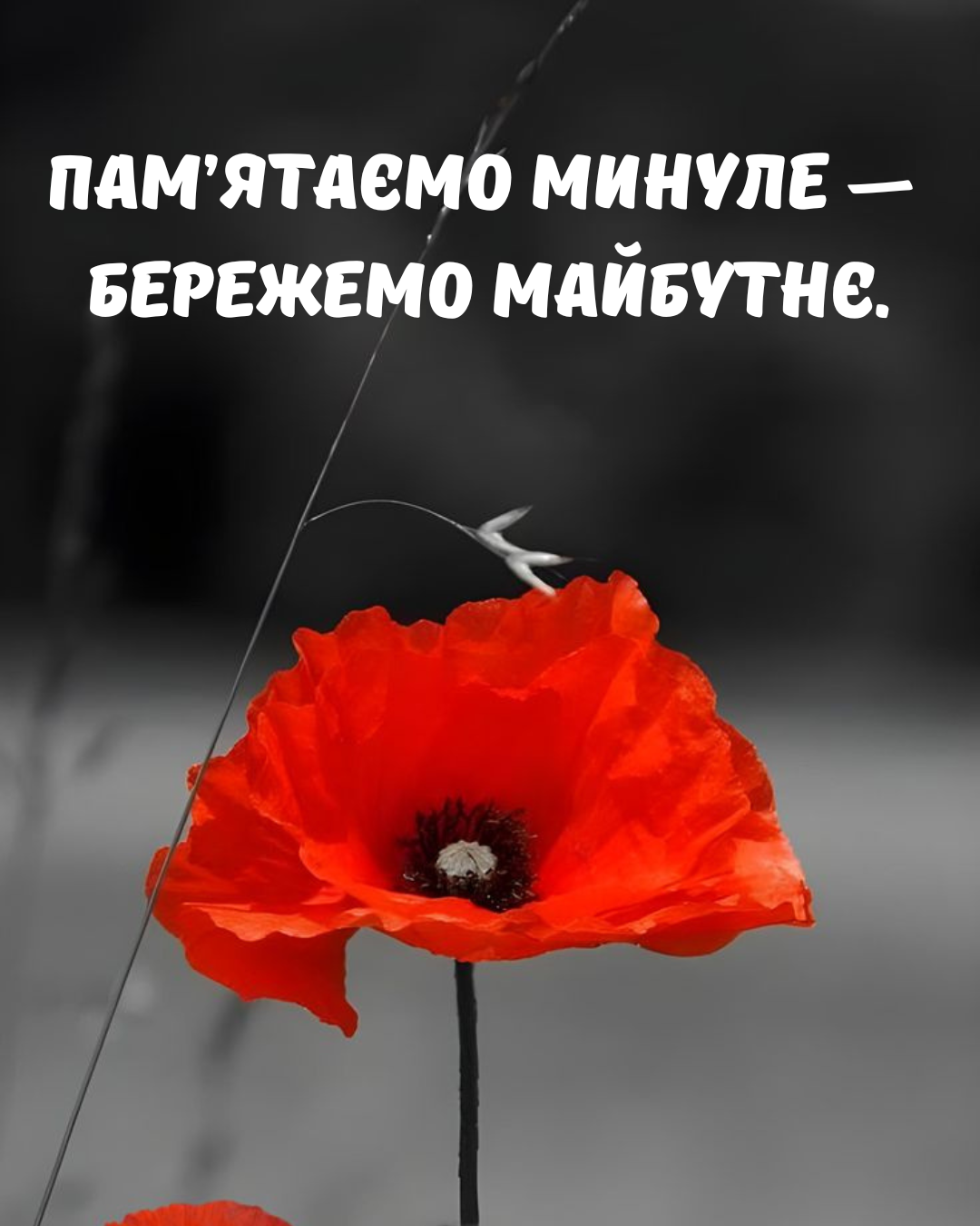 День памяти и примирения: трогательные фразы и картинки для твоих соцсетей - 856745 День памяти и примирения: трогательные фразы и картинки для твоих соцсетей - фото 856745