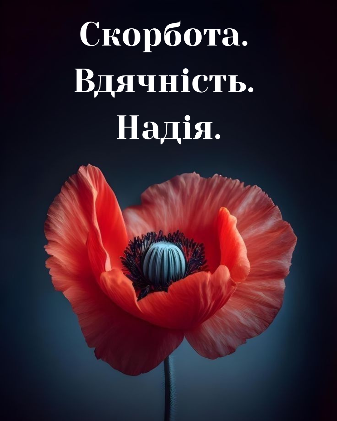День памяти и примирения: трогательные фразы и картинки для твоих соцсетей - 856747 День памяти и примирения: трогательные фразы и картинки для твоих соцсетей - фото 856747