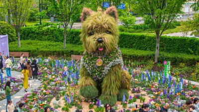 Величезне 5-метрове квіткове цуценя стало зіркою виставки в Шанхаї