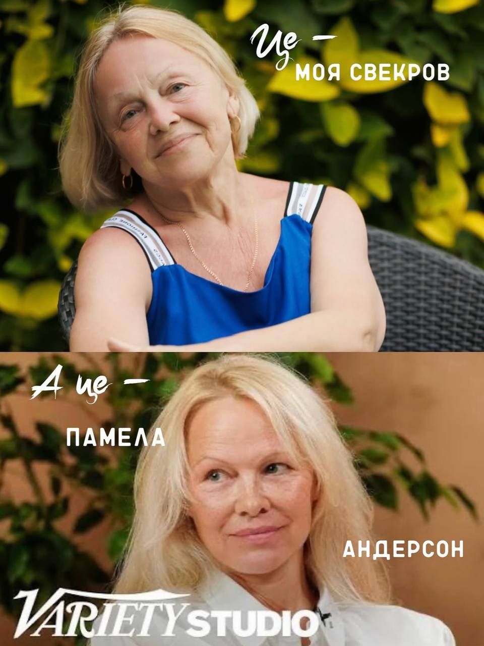 Памела Андерсон та свекруха Інни Мірошниченко схожі - фото 857218