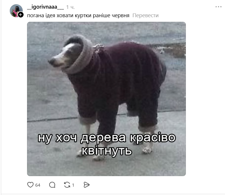 Смешные мемы о погоде в Украине: весна забыла, что она не зима - фото 857317