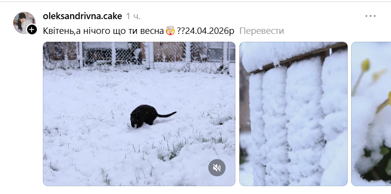 Смешные мемы о погоде в Украине: весна забыла, что она не зима - фото 857321