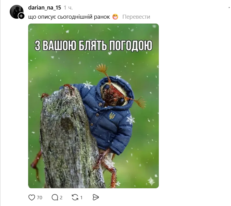 Смешные мемы о погоде в Украине: весна забыла, что она не зима - фото 857323