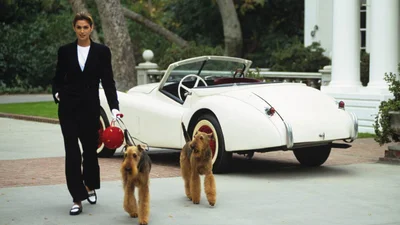 Секретний відтінок манікюру, який обожнюють дружини мільйонерів - фанатіє весь Мангеттен