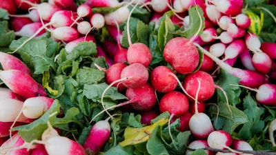 Food-хіти цієї весни: трендова бита й смажена редиска
