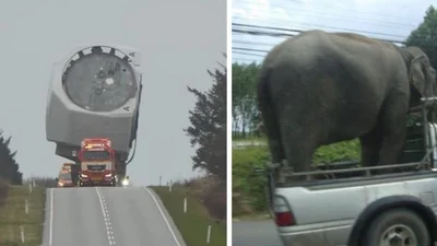 15 странных вещей, которые водители встретили прямо посреди дороги