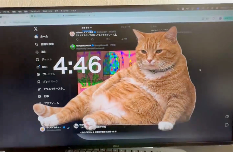 Это расширение Chrome заставит тебя перестать скролить - и все из-за рыжего кота - 859035 Это расширение Chrome заставит тебя перестать скролить - и все из-за рыжего кота - фото 859035