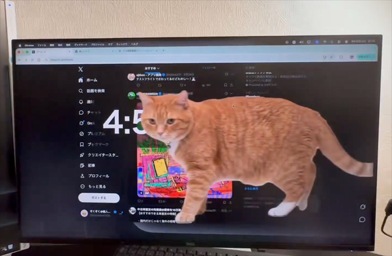 Это расширение Chrome заставит тебя перестать скролить - и все из-за рыжего кота - 859036 Это расширение Chrome заставит тебя перестать скролить - и все из-за рыжего кота - фото 859036