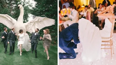 20 курйозних весільних фотографій, які молодята будуть ховати подалі від чужих очей