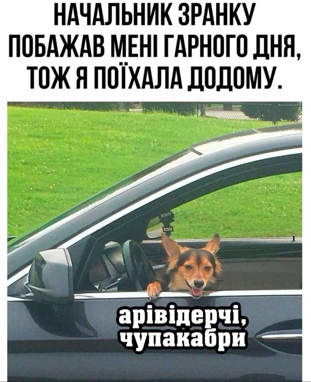 Мемы на 1 мая о работе, которую мы иногда так 'любим' - 860114 Мемы на 1 мая о работе, которую мы иногда так 'любим' - фото 860114